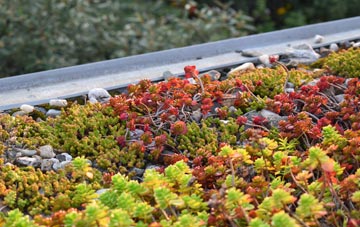 the cost of Addlestonemoor green roof installation