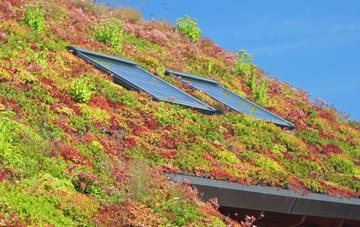 Addlestonemoor living roof systems