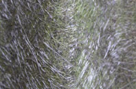 Addlestonemoor fibreglass roof work